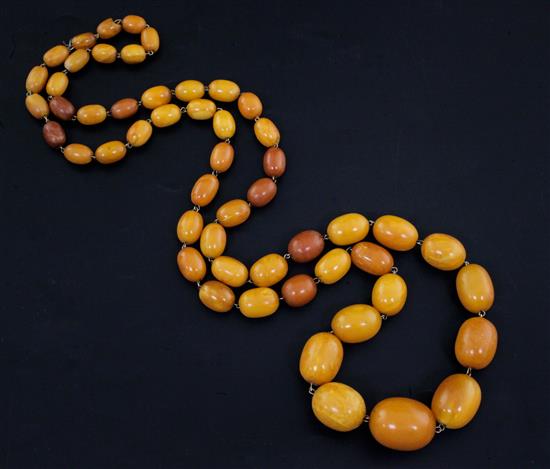 A single strand graduated oval amber bead necklace, 95cm.